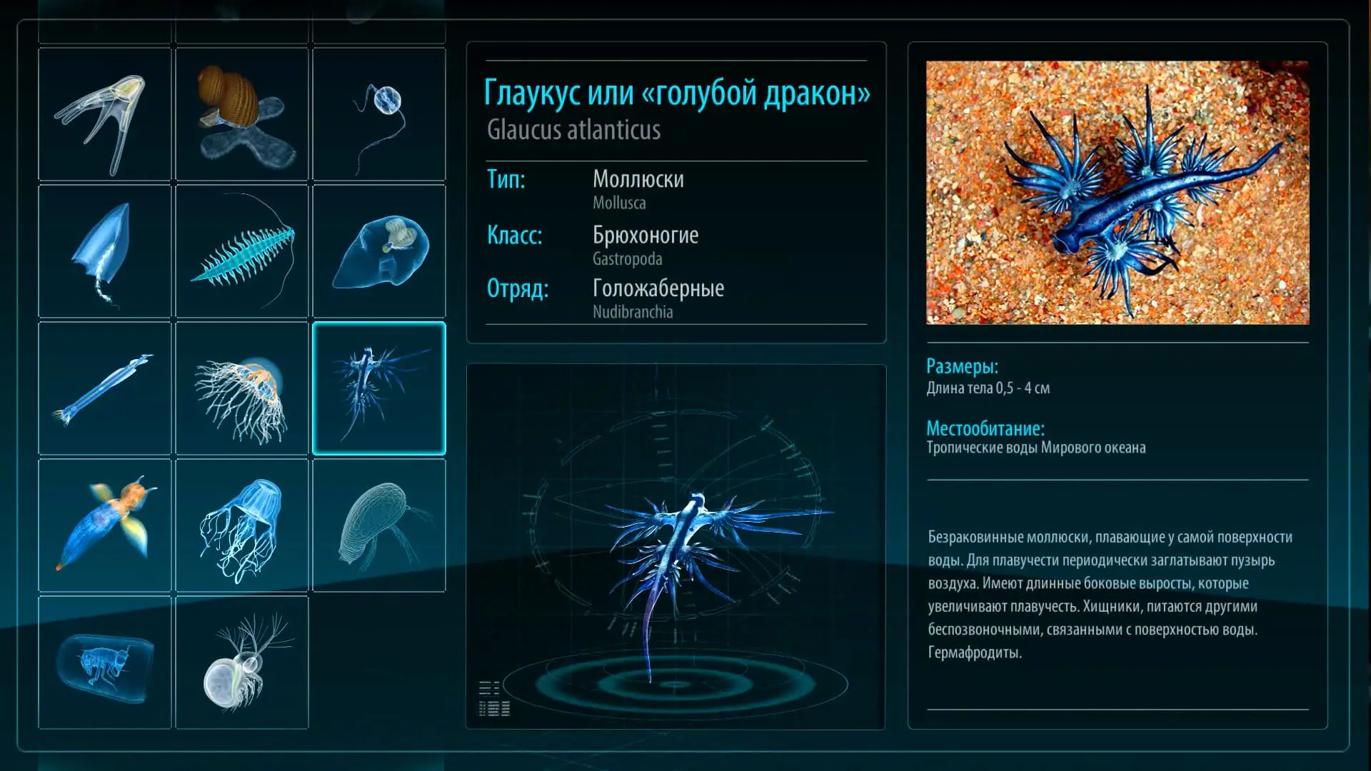 Interface of the manager touch display of the holographic pyramid.