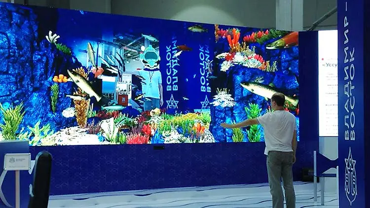 Sea animals react even to a slight movement of your hands.