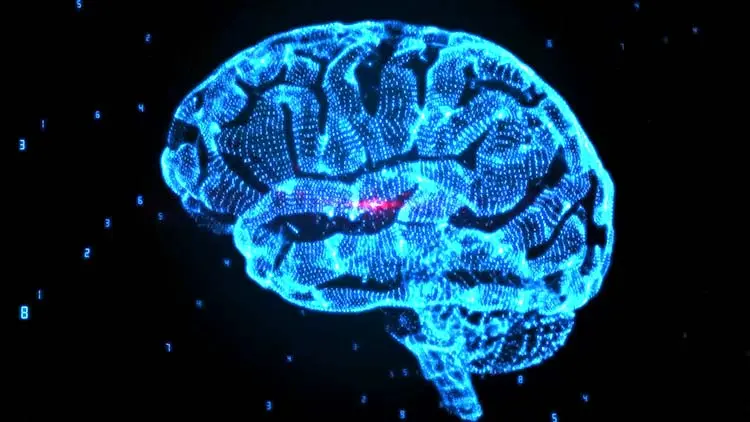 This is a human brain from the point of view of a motion designer.