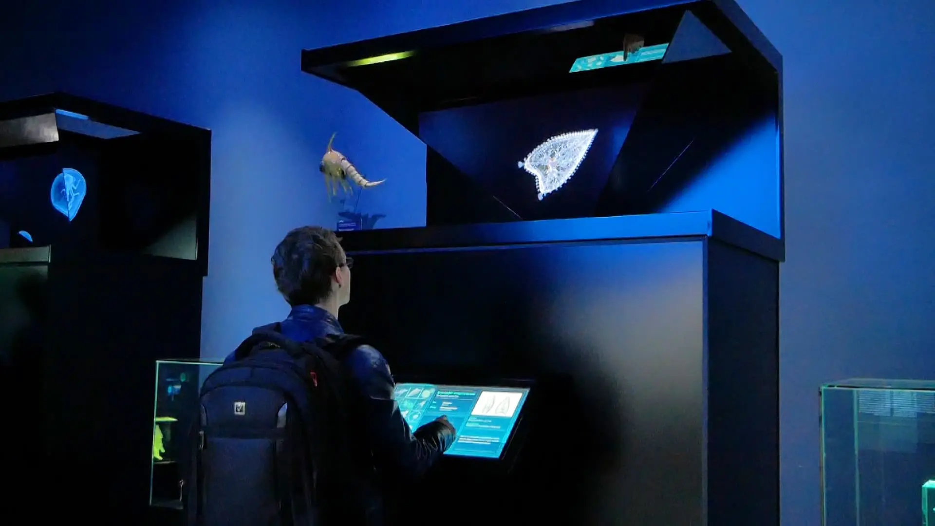 Holographic pyramids in Primorsky Aquarium.