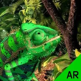 "Chameleon" Interactive Installation for the Darwin State Museum