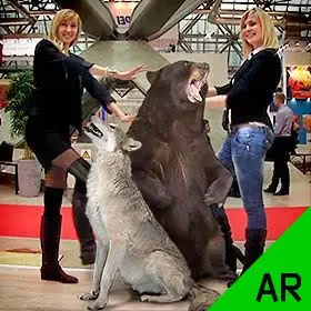 Augmented Reality for a Trade Show