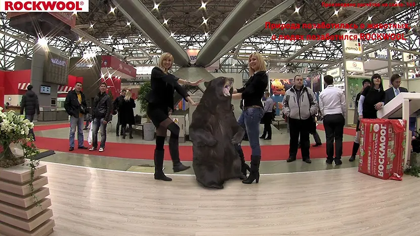 Such a lucky bear. I doubt that you can find such beauties in the forest.